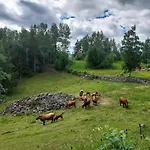 Beautiful Place Among Forests And Fields In A Good Old Style Hébergement de vacances *