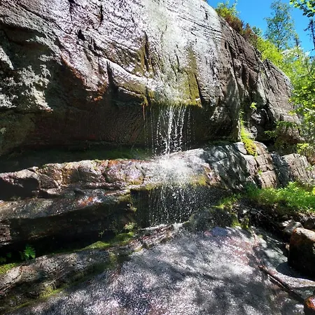 Casa de Férias Beautiful Place Among Forests And Fields In A Good Old Style