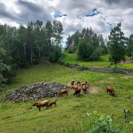 Beautiful Place Among Forests And Fields In A Good Old Style Holiday home *