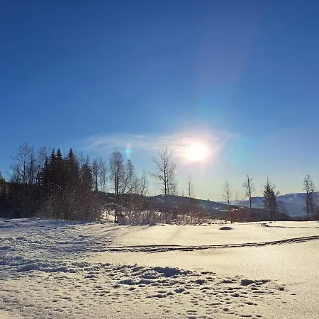 Beautiful Place Among Forests And Fields In A Good Old Style