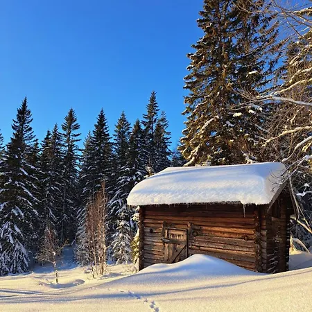 Beautiful Place Among Forests And Fields In A Good Old Style Casa de Férias *