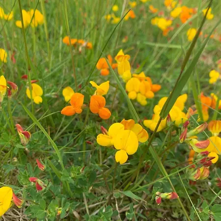 Beautiful Place Among Forests And Fields In A Good Old Style Eggedal