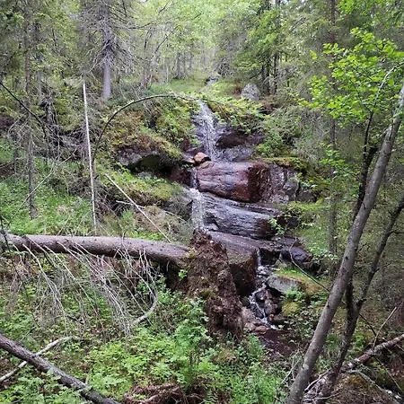Casa de Férias Beautiful Place Among Forests And Fields In A Good Old Style