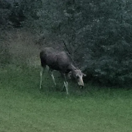 Beautiful Place Among Forests And Fields In A Good Old Style Casa de Férias *