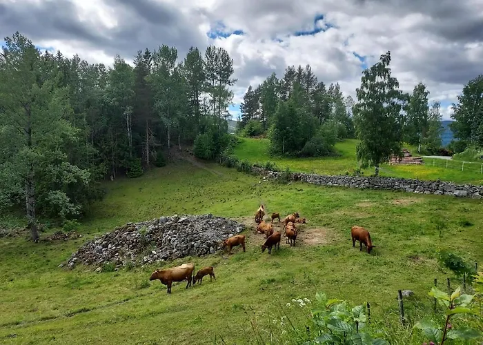 Beautiful Place Among Forests And Fields In A Good Old Style Semesterbostad *