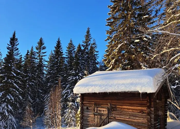 Beautiful Place Among Forests And Fields In A Good Old Style Semesterbostad *