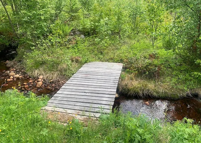 Beautiful Place Among Forests And Fields In A Good Old Style Semesterbostad Eggedal