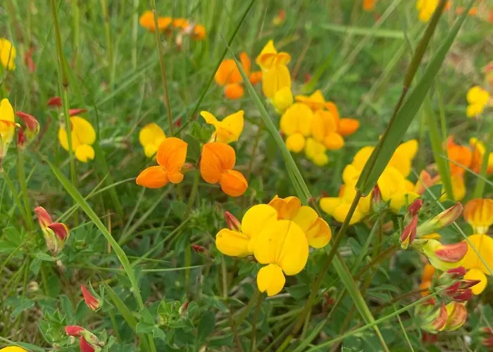 Beautiful Place Among Forests And Fields In A Good Old Style Eggedal