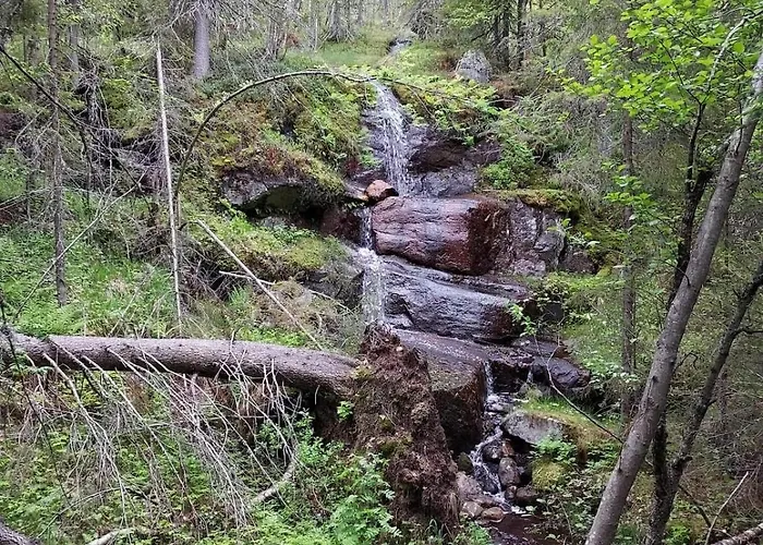 Semesterbostad Beautiful Place Among Forests And Fields In A Good Old Style